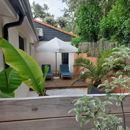 Casa vacanze Maison Au Calme Dans Les Bois à 500m De La *