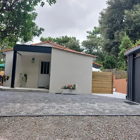 Maison Au Calme Dans Les Bois à 500m De La Meschers-sur-Gironde