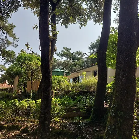 Maison Au Calme Dans Les Bois A 500m De La Сasa de vacaciones *