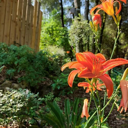 Maison Au Calme Dans Les Bois à 500m De La * Meschers-sur-Gironde