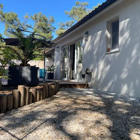 Maison Au Calme Dans Les Bois A 500m De La Meschers-sur-Gironde