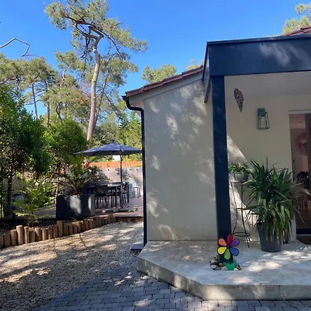 Maison Au Calme Dans Les Bois A 500m De La Holiday home